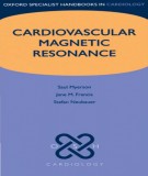 Cardiovascular magnetic resonance: Part 2