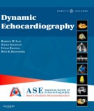 Dynamic echocardiography: Part 1