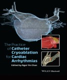 The practice of catheter cryoablation for cardiac arrhythmias: Part 2