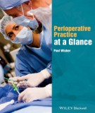 Perioperative practice at a glance: Part 2