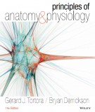 Principles of anatomy and physiology (14th edition): Part 1