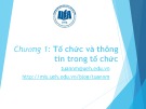 Bài giảng Hệ thống thông tin quản lý: Chương 1 - GV. Nguyễn Mạnh Tuấn