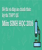 Đề thi và đáp án chính thức kì thi THPT QG năm 2016 môn Sinh học