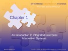 Lecture Enterprise information systems: A pattern-based approach (3/e): Chapter 1 - Cheryl Dunn, J. Owen Cherrington, Anita Hollander