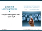 Lecture Management information systems for the information age (9/e): Module M - Stephen Haag, Maeve Cummings