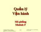 Bài giảng Quản lý vận hành - Module F: Mô phỏng