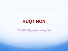 Bài giảng Giải phẫu học: Ruột non - ThS.BS. Nguyễn Hoàng Vũ