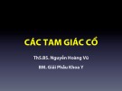 Bài giảng Giải phẫu học: Các tam giác cổ - ThS.BS. Nguyễn Hoàng Vũ