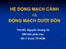 Bài giảng Giải phẫu học: Hệ động mạch cảnh và hệ động mạch dưới đòn - ThS.BS. Nguyễn Hoàng Vũ