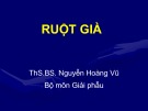 Bài giảng Giải phẫu học: Ruột già - ThS.BS. Nguyễn Hoàng Vũ