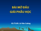 Bài giảng Giải phẫu học: Bài mở đầu giải phẫu học - GS.TS.BS. lê Văn Cường