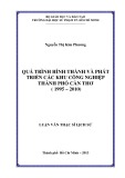 Luận văn Thạc sĩ Lịch sử: Quá trình hình thành và phát triển các khu công nghiệp thành phố Cần Thơ (1995 – 2010)