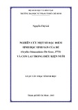 Luận văn Thạc sĩ Sinh học: Nghiên cứu một số đặc điểm sinh học sinh sản của dế (Gryllus Bimaculatus De Geer, 1773) và con lai trong điều kiện nuôi