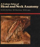 Clinical atlas of head and neck anatomy: Part 1