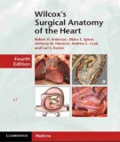  wilcox’s surgical anatomy of the heart (4th edition): part 2