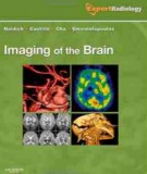  imaging of the brain (1st edition): part 1