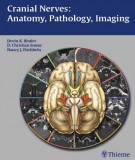 Cranial nerves anatomy, pathology, imaging: Part 1