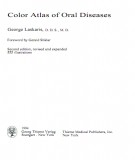 Color atlas of oral diseases: Part 1