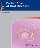 Pocket atlas of oral diseases: Part 2