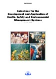 Guidelines for the Development and Application of Health, Safety and Environmental Management Systems