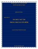 Luận án Thạc sĩ Ngôn ngữ học: Tổ chức ngữ âm trong thơ Nguyễn Bính