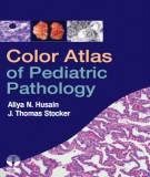  color atlas of pediatric pathology: part 1