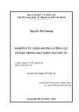 Luận văn Thạc sĩ Vật lý: Nghiên cứu cộng hưởng lưỡng cực Pygmy trong hạt nhân nguyên tử