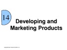 Lecture International business - Chapter 14: Developing and marketing products