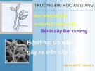 Bài thuyết trình Bệnh cây đại cương: Bệnh hại do nấm gây ra trên cây trồng