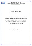 Luận văn Thạc sĩ Sinh học: Vai trò của Auxin trong sự phát sinh hình thái rễ bất định In Vitro từ khúc cắt thân cây đậu Vigna Angularis (Willd.) Ohwi Et Ohashi