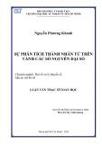 Luận văn Thạc sĩ Toán học: Sự phân tích thành nhân tử trên vành các số nguyên đại số