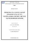 Luận văn Thạc sĩ Tâm lý học: Ảnh hưởng của cảm xúc giận dữ lên hành vi ứng xử của người lao động trí thức trẻ tuổi tại thành phố Hồ Chí Minh