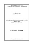 Luận văn Thạc sĩ Sinh học: Khảo sát khả năng chịu mặn của cây tràm chua Melaleuca Leucadendra L.