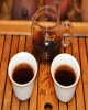 Thảo luận nhóm bài 3: Tách Caffein từ Trà