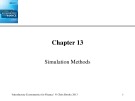 Lecture Introductory Econometrics for Finance: Chapter 13 - Chris Brooks