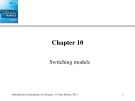 Lecture Introductory Econometrics for Finance: Chapter 10 - Chris Brooks