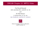 Lecture BSc Multimedia - Chapter 12: MPEG video