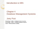 Lecture Introduction to MIS: Chapter 4 - Jerry Post