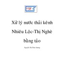 Luận văn: Xử lý nước thải kênh Nhiêu Lộc - Thị Nghè bằng tảo