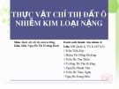 Thảo luận nhóm: Thực vật chỉ thị đất ô nhiễm kim loại nặng