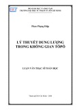 Luận văn Thạc sĩ Toán học: Lý thuyết dung lượng trong không gian tôpô