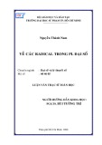 Luận văn Thạc sĩ Toán học: Về các Radical trong PI. đại số