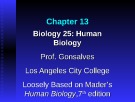 Lecture Biology 25 (Human Biology): Chapter 13 - Prof. Gonsalves