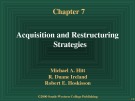 Lecture Strategic management: Competitiveness and globalization, concepts and cases (4/e): Chapter 7 - Michael A. Hitt, R. Duane Ireland, Robert E. Hoskisson