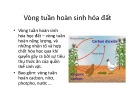 Bài giảng Vòng tuần hoàn sinh hóa đất