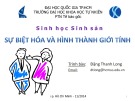 Bài giảng Sinh học sinh sản: Sự biệt hóa và hình thành giới tính