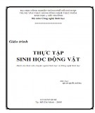 Giáo trình Thực tập sinh học động vật: Phần 2