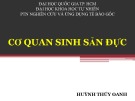 Bài giảng Cơ quan sinh sản đực