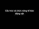 Bài giảng Cấu trúc và chức năng tế bào động vật