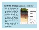 Bài giảng Hình thái phẫu diện đất (Soil Profiles)